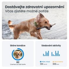 Tractive GPS DOG XL, zelený