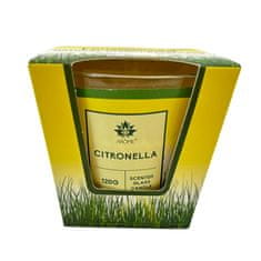 Arôme Set Citronella, svíčky a difuzér 50 ml