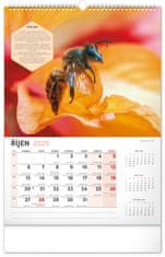 Notique Nástěnný Včelařský kalendář 2025, 33 x 46 cm