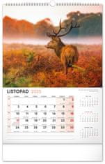 Notique Nástěnný kalendář Myslivecký 2025, 33 x 46 cm