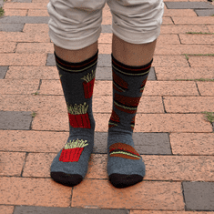 GFT Veselé ponožky - hranolky