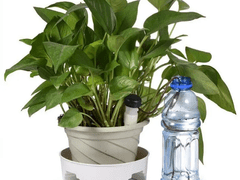 Verk 27163 Automatický dávkovač vody do pokojových rostlin 2 ks