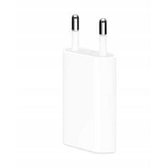 BB-Shop APPLE CHARGER + SVĚTELNÝ KABEL iPhone 6S 7 8 X