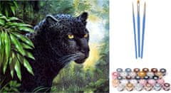 Norimpex Malování podle čísel: Puma černá, plátno na rámu 40x50 cm