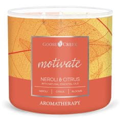 Goose Creek Svíčka AROMATHERAPY 0,41 KG NEROLI & CITRUS, aromatická v dóze, 3 knoty