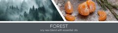 Goose Creek Svíčka MENS COLLECTION 0,41 KG FOREST, aromatická v dóze, 3 knoty