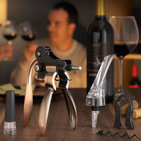 InnovaGoods Set of Wine Accessories Servin InnovaGoods 5 Pieces