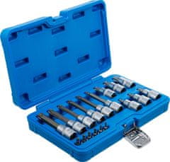 BGS technic Zástrčné hlavice TORX s otvorem 1/4" a 1/2", TT10-TT60, sada 18 dílů - BGS 5174