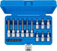 BGS technic Zástrčné hlavice TORX s otvorem 1/4" a 1/2", TT10-TT60, sada 18 dílů - BGS 5174