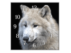 Glasdekor Nástěnné hodiny 30x30cm bílý vlk - Materiál: kalené sklo