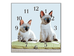 Glasdekor Nástěnné hodiny 30x30cm siamské kočky na podložce - Materiál: kalené sklo
