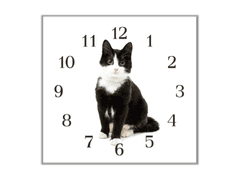 Glasdekor Nástěnné hodiny 30x30cm černo bílá kočka - Materiál: kalené sklo