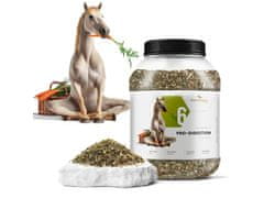 sarcia.eu Phytoseo bylinná směs PHYTO HORSE 6 - trávení - 1,4 kg 