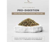 sarcia.eu Phytoseo bylinná směs PHYTO HORSE 6 - trávení - 1,4 kg 