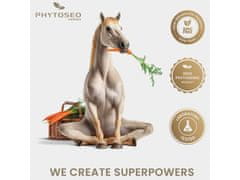 sarcia.eu Phytoseo bylinná směs PHYTO HORSE 6 - trávení - 1,4 kg 