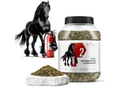 sarcia.eu Phytoseo bylinná směs PHYTO HORSE 2 - protizánětlivá - 1,2 kg 