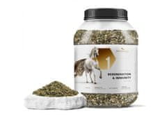 sarcia.eu Phytoseo bylinná směs PHYTO HORSE 1 - regenerace a imunita - 1,4 kg 