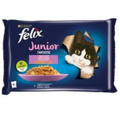 Felix Fantastic JUNIOR Multipack 4x85g kuře a losos v želé