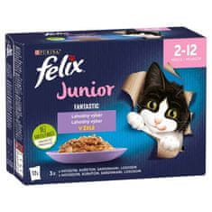 Felix Fantastic Junior Multipack 12x85g hovězí, kuře, sardinky, losos v želé