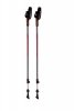 Trekové hole Blizzard Alu Performance Nordic Walking anthracite/red