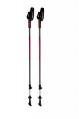 Blizzard Trekové hole Blizzard Alu Performance Nordic Walking anthracite/red