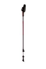 Blizzard Trekové hole Blizzard Alu Performance Nordic Walking anthracite/red