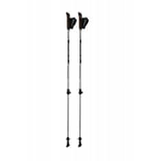 Blizzard Trekové hole Blizzard Alu Performance Nordic Walking silver/black