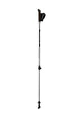 Blizzard Trekové hole Blizzard Alu Performance Nordic Walking silver/black