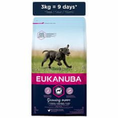 Eukanuba Krmivo Puppy Large & Giant 3kg