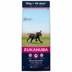 Eukanuba Krmivo Puppy Large & Giant 15kg