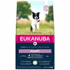Eukanuba Krmivo Puppy Small & Medium Lamb 2,5kg