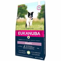 Eukanuba Krmivo Puppy Small & Medium Lamb 2,5kg