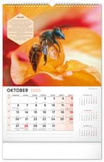 Notique Nástěnný Včelársky kalendár 2025, 33 x 46 cm