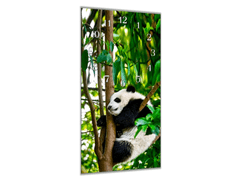 Glasdekor Nástěnné hodiny 30x60cm panda na stromě - Materiál: kalené sklo