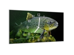 Glasdekor Nástěnné hodiny 30x60cm ryba pstruh - Materiál: plexi