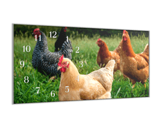 Glasdekor Nástěnné hodiny 30x60cm slepice na pastvě - Materiál: plexi