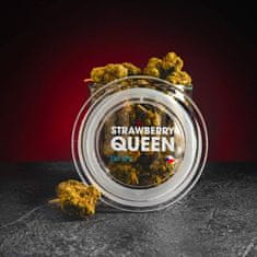 Kratom World CBD Strawberry Queen 10% 1g