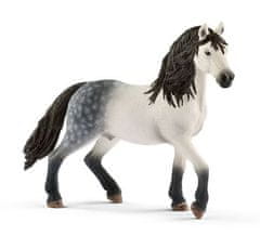 Schleich Horse Club 13821 Andaluský kůň - hřebec