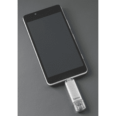 Hama Flashdisk Flash Pen Laeta, USB-C/USB-A 3.1, 256 GB, 40 MB/s, stříbrný