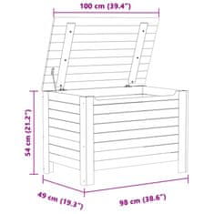 Petromila Úložný box s víkem RANA 100 x 49 x 54 cm masivní borové dřevo