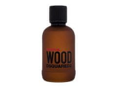 Dsquared² Dsquared2 - Wood Original - For Men, 100 ml 