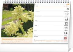 Notique Stolový kalendár Prírodná lekáreň 2025, 23,1 x 14,5 cm
