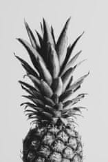 Pelcasa Pineapple Black Aamp White 02 - 70x100 cm 