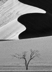 Pelcasa Dune Curves - 70x100 cm 