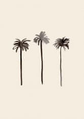 Pelcasa Palm Trees Ink - 21x30 cm 