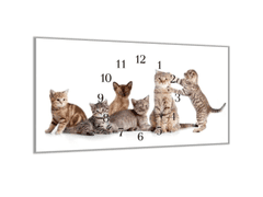 Glasdekor Nástěnné hodiny30x60cm kočky a koťata - Materiál: kalené sklo