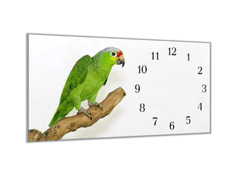 Glasdekor Nástěnné hodiny 30x60cm papoušek amazoňan - Materiál: kalené sklo