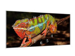 Glasdekor Nástěnné hodiny 30x60cm barevný chameleon - Materiál: kalené sklo