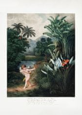 Pelcasa Cupid Inspiring Plants With Love From The Temple Of Flora (1807) - 70x100 cm 