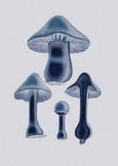 Pelcasa Agaricus Bulbosus - Blue - 30x40 cm 